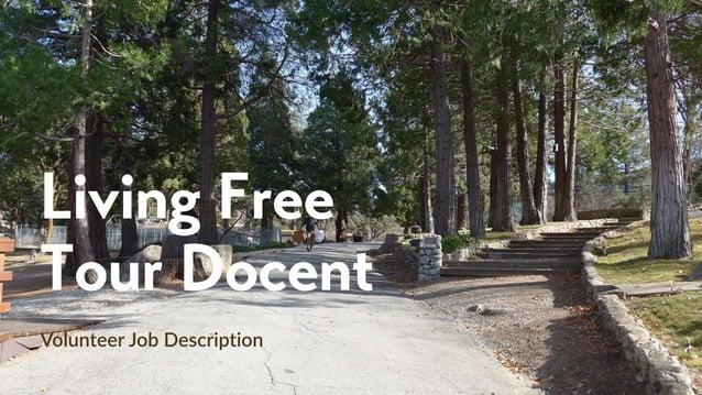 Docent Tour Guide Volunteer Description PPT Docent Tour Guide Volunteer Description PPT