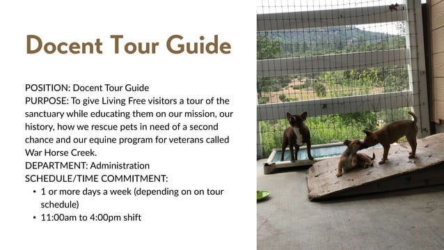 docent-tour-guide-volunteer-description-ppt