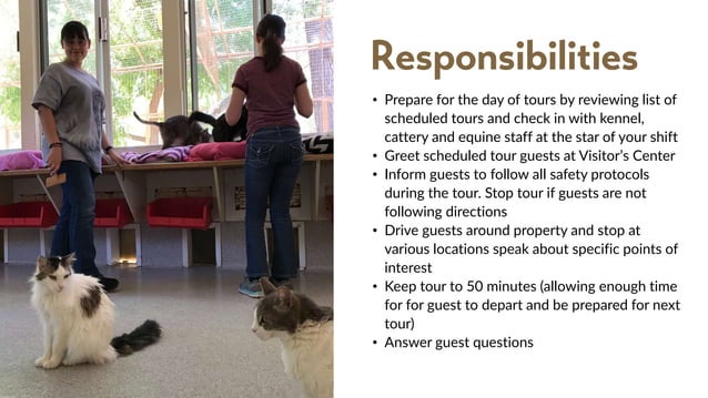 docent-tour-guide-volunteer-description-ppt