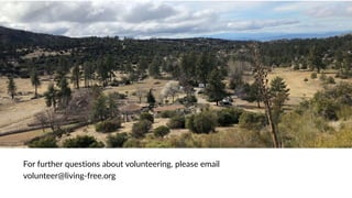 For further questions about volunteering, please email
volunteer@living-free.org
 