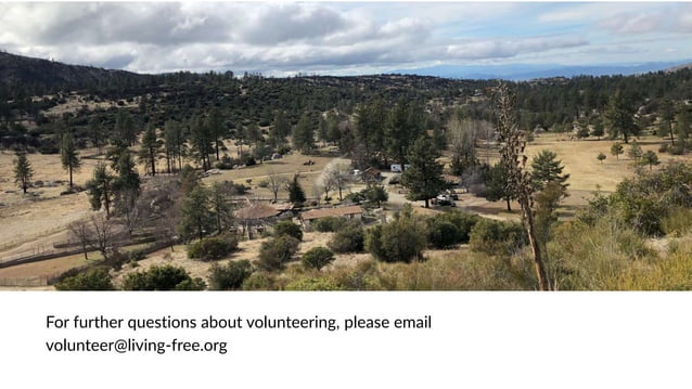 Docent Tour Guide Volunteer Description PPT docent-tour-guide-volunteer-description-ppt