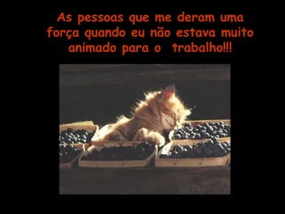 As pessoas que me deram uma 
força quando eu não estava muito 
animado para o trabalho!!! 
 