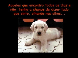 Aqueles que encontro todos os dias e 
não tenho a chance de dizer tudo 
que sinto, olhando nos olhos... 
 