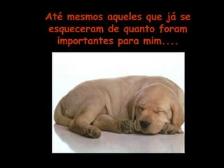 Até mesmos aqueles que já se 
esqueceram de quanto foram 
importantes para mim.... 
 
