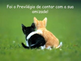Foi o Previlégio de contar com a sua 
amizade! 
 