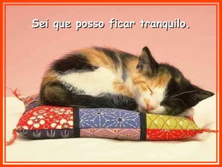 SSeeii qquuee ppoossssoo ffiiccaarr ttrraannqquuiilloo.. 
 