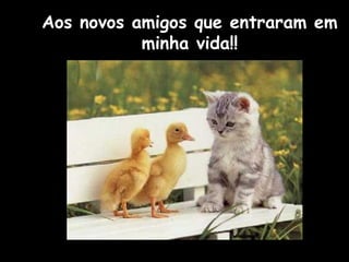 Aos novos amigos que entraram em 
minha vida!! 
 