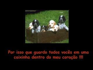 Por isso que guardo todos vocês em uma 
caixinha dentro do meu coração !!!! 
 