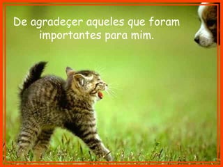 De agradeçer aqueles que foram 
importantes para mim. 
 