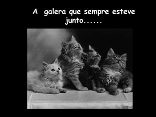 A galera que sempre esteve 
junto...... 
 