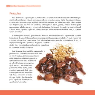 2 Cartilhas Temáticas   Thematic Pamphlets




  Pesquisa
     Para ministrar a capacitação, as professoras Luciana Cavalcanti de Azevêdo e Marta Eugê-
  nia Cavalcanti Ramos há dois anos desenvolvem pesquisas com a fruta. De origem indiana,
  o tamarindo tem uma polpa agridoce, de textura fibrosa e um sabor marcante. “Pela riqueza
  das propriedades, ele pode ser usado na fabricação de doces, geléias, balas e molhos para
  acompanhar saladas, carnes e peixes”, atesta Luciana Cavalcanti. Segundo ela, aqui no Brasil
  a fruta ainda é pouco explorada comercialmente, diferentemente do Chile, que já exporta
  vários produtos.

     Marta Eugênia acredita que ainda há muito a descobrir sobre essa leguminosa. “A cada
  formulação desenvolvida descobrimos novas possibilidades e propriedades. A mais recente foi
  a presença de pectina”, comemora. Essa substância é usada para dar a consistência de gel e é
  imprescindível para a produção de geléias. No tama-
  rindo, ela é encontrada em abundância na película
  da casca que envolve o caroço.

      José Alves de Siqueira Filho, pesquisador e
  professor da Universidade Federal do Vale
  do São Francisco, destaca que os frutos
  existentes na área da Caatinga podem
  se transformar em uma alternativa
  de subsistência para os pequenos
  agricultores. “O tamarindo,
  junto com outras frutas, como
  o umbú, pode contribuir para
  o desenvolvimento sustentá-
  vel. Nesse contexto, a inicia-
  tiva do Cefet é fundamental
  para apontar alternativas
  econômicas”, ressalta.
 