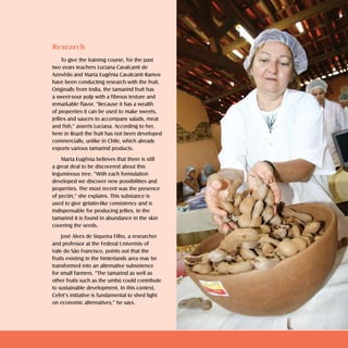 Doces e geléias   sweets and jellies   2



Research
     To give the training course, for the past
two years teachers Luciana Cavalcanti de
Azevêdo and Marta Eugênia Cavalcanti Ramos
have been conducting research with the fruit.
Originally from India, the tamarind fruit has
a sweet-sour pulp with a fibrous texture and
remarkable flavor. “Because it has a wealth
of properties it can be used to make sweets,
jellies and sauces to accompany salads, meat
and fish,” asserts Luciana. According to her,
here in Brazil the fruit has not been developed
commercially, unlike in Chile, which already
exports various tamarind products.
    Marta Eugênia believes that there is still
a great deal to be discovered about this
leguminous tree. “With each formulation
developed we discover new possibilities and
properties. The most recent was the presence
of pectin,” she explains. This substance is
used to give gelatin-like consistency and is
indispensable for producing jellies. In the
tamarind it is found in abundance in the skin
covering the seeds.
    José Alves de Siqueira Filho, a researcher
and professor at the Federal Univeristy of
Vale do São Francisco, points out that the
fruits existing in the hinterlands area may be
transformed into an alternative subsistence
for small farmers. “The tamarind as well as
other fruits such as the umbú could contribute
to sustainable development. In this context,
Cefet’s initiative is fundamental to shed light
on economic alternatives,” he says.
 
