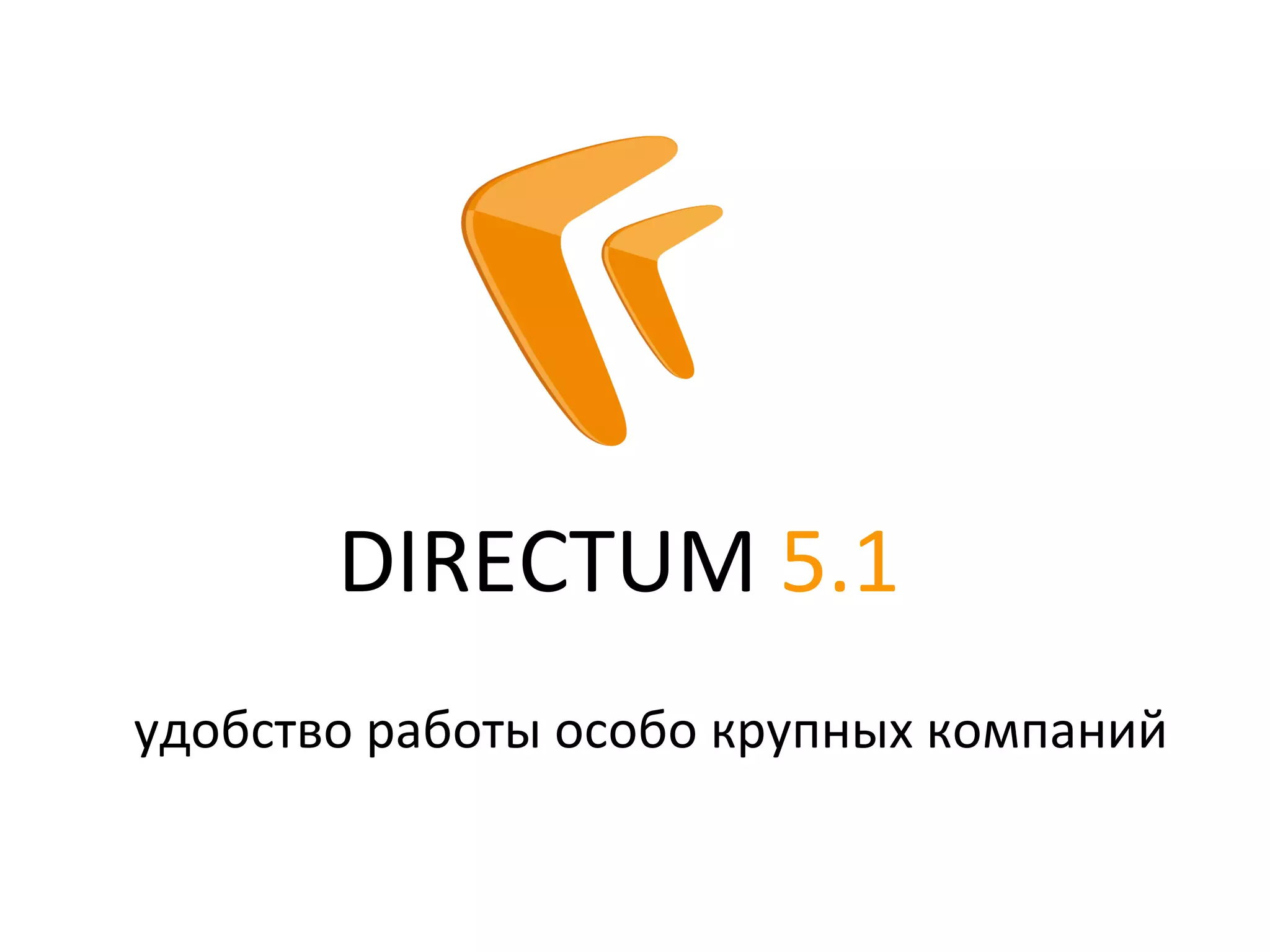 DIRECTUM 5.1
удобство работы особо крупных компаний
 