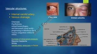 Vascular structures:
 Internal carotid artery.
 Venous drainage.
Chemosis
Papilledema,
retinal hemorrhages,
and decreased visual acuity .
progressing to blindness due to
venous congestion within the
retina.
Chemosis
Increase of intracranial pressure:
Migraine headache
Stroke
carotid artery aneurysm or fistula
Orbital cellulitis
 