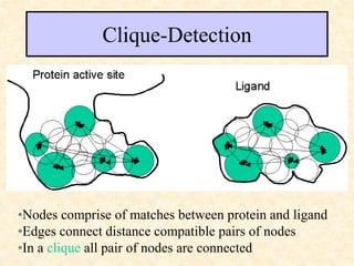Clique-Detection
•
•Nodes comprise of matches between protein and ligand
•Edges connect distance compatible pairs of nodes
•In a clique all pair of nodes are connected
 