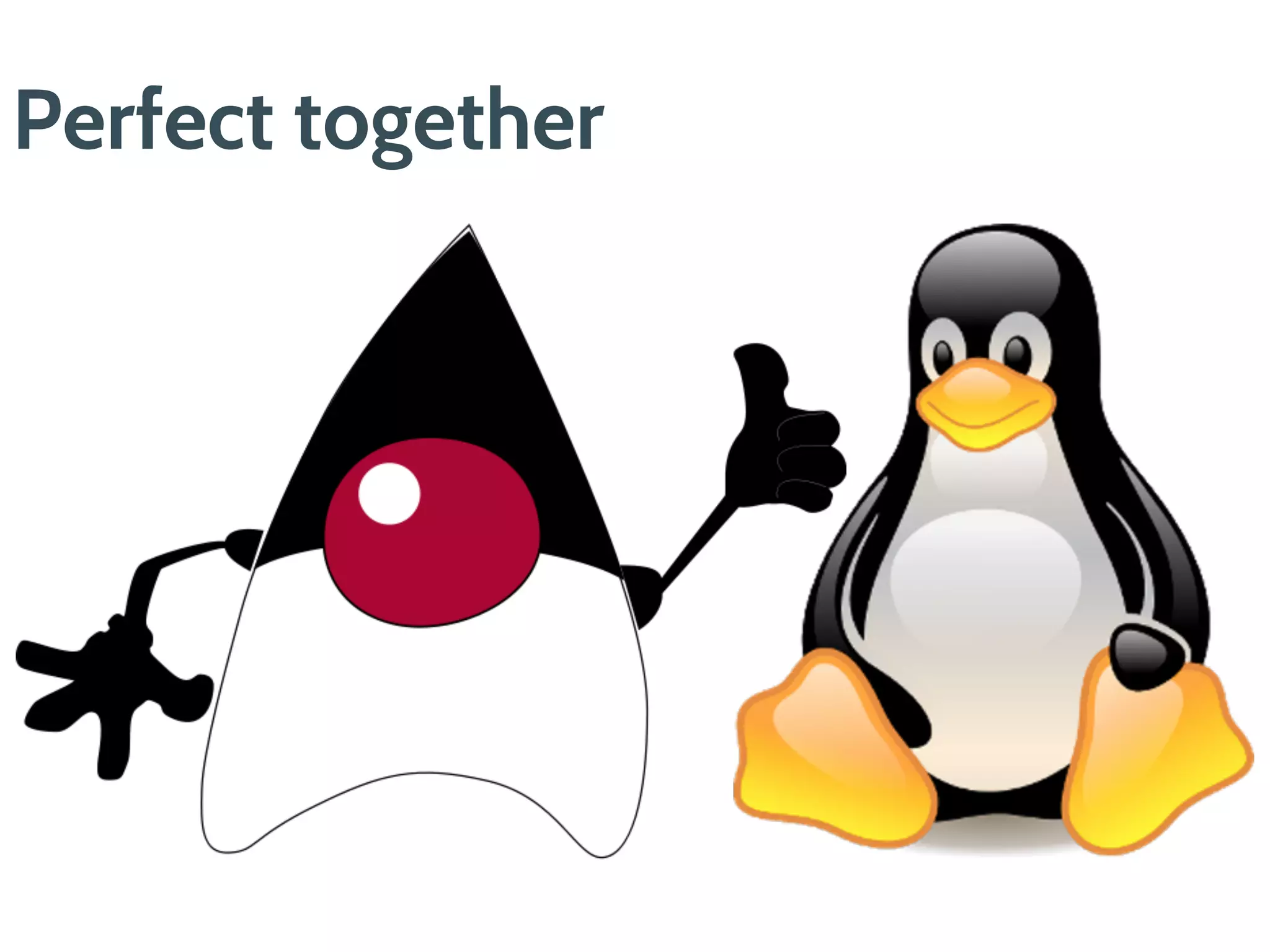 Official images for Java
 