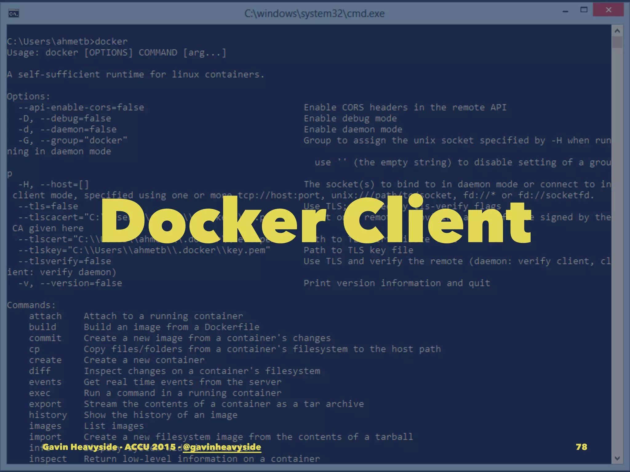 Docker Client
Gavin Heavyside - ACCU 2015 - @gavinheavyside 78
 