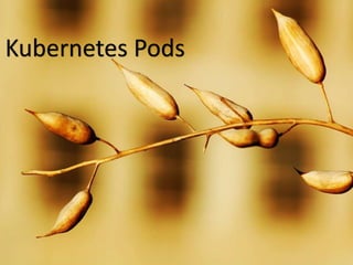 Kubernetes Pods
 