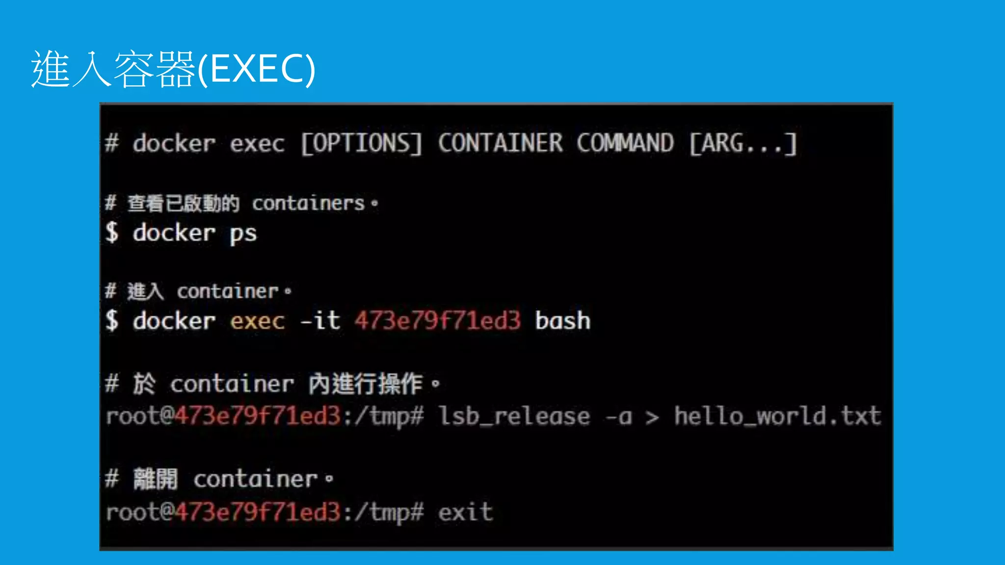 進入容器(EXEC)
 