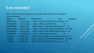 E as camadas?
Para visualizar as camadas, utilizamos o comando "docker history (nome da imagem)"
Saída do comando:
IMAGE CREATED CREATED BY SIZE COMMENT
9f587567bce1 33 hours ago /bin/sh -c #(nop) ENTRYPOINT ["/usr/sbin/htt 0 B
240465ca487d 33 hours ago /bin/sh -c #(nop) EXPOSE 80/tcp 0 B
94643bf2f8a9 33 hours ago /bin/sh -c #(nop) LABEL Description=Apache S 0 B
4687cdc38101 34 hours ago /bin/sh -c yum update -y && yum install httpd 98.19 MB
dd1c6ab5681f 34 hours ago /bin/sh -c #(nop) MAINTAINER Matheus Alves e 0 B
cf2c3ece5e41 12 weeks ago /bin/sh -c #(nop) CMD ["/bin/bash"] 0 B
<missing> 12 weeks ago /bin/sh -c #(nop) LABEL name=CentOS Base Imag 0 B
<missing> 12 weeks ago /bin/sh -c #(nop) ADD file:f0ec297ab653ffb2c5 194.6 MB
<missing> 12 weeks ago /bin/sh -c #(nop) MAINTAINER https://github.c 0 B
 