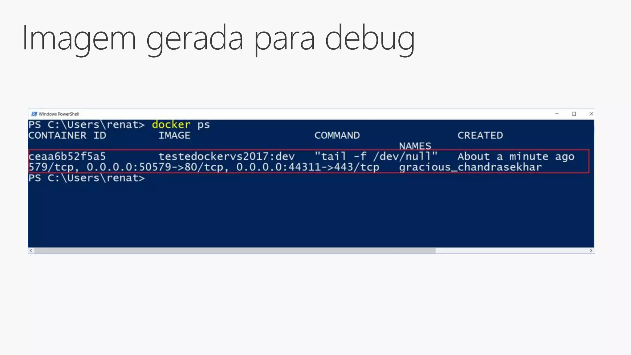 Imagem gerada para debug
 