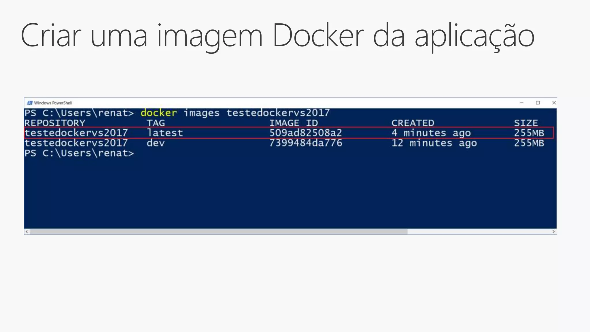 Criar uma imagem Docker da aplicação
 