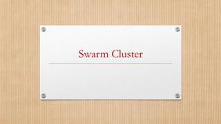 Swarm Cluster
 