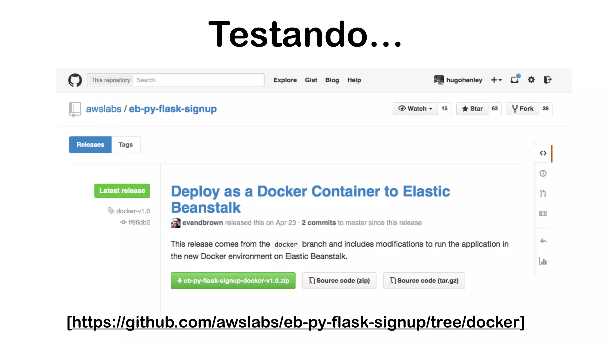 Testando… [https://github.com/awslabs/eb-py-flask-signup/tree/docker] 