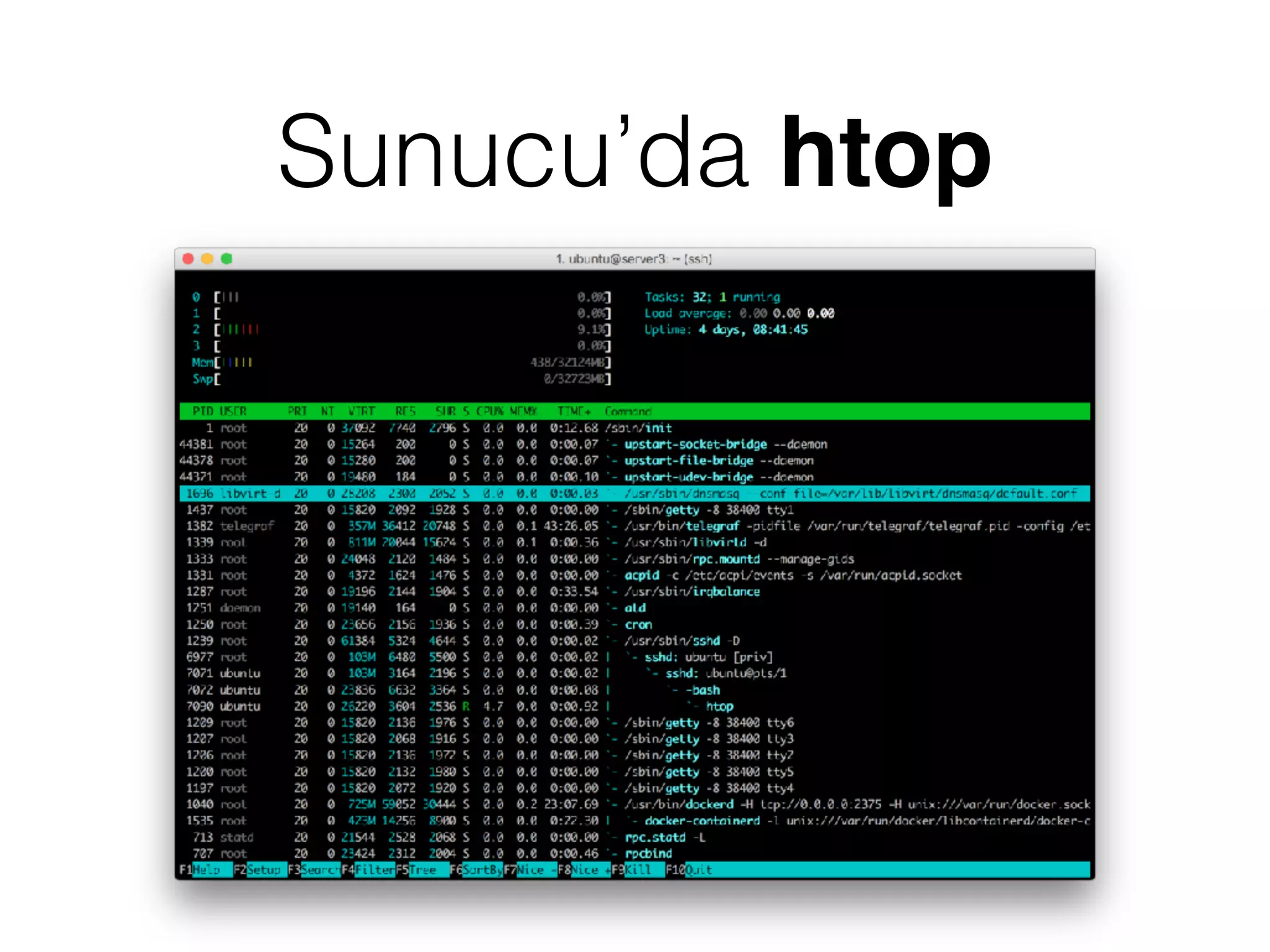 Sunucu’da htop
 