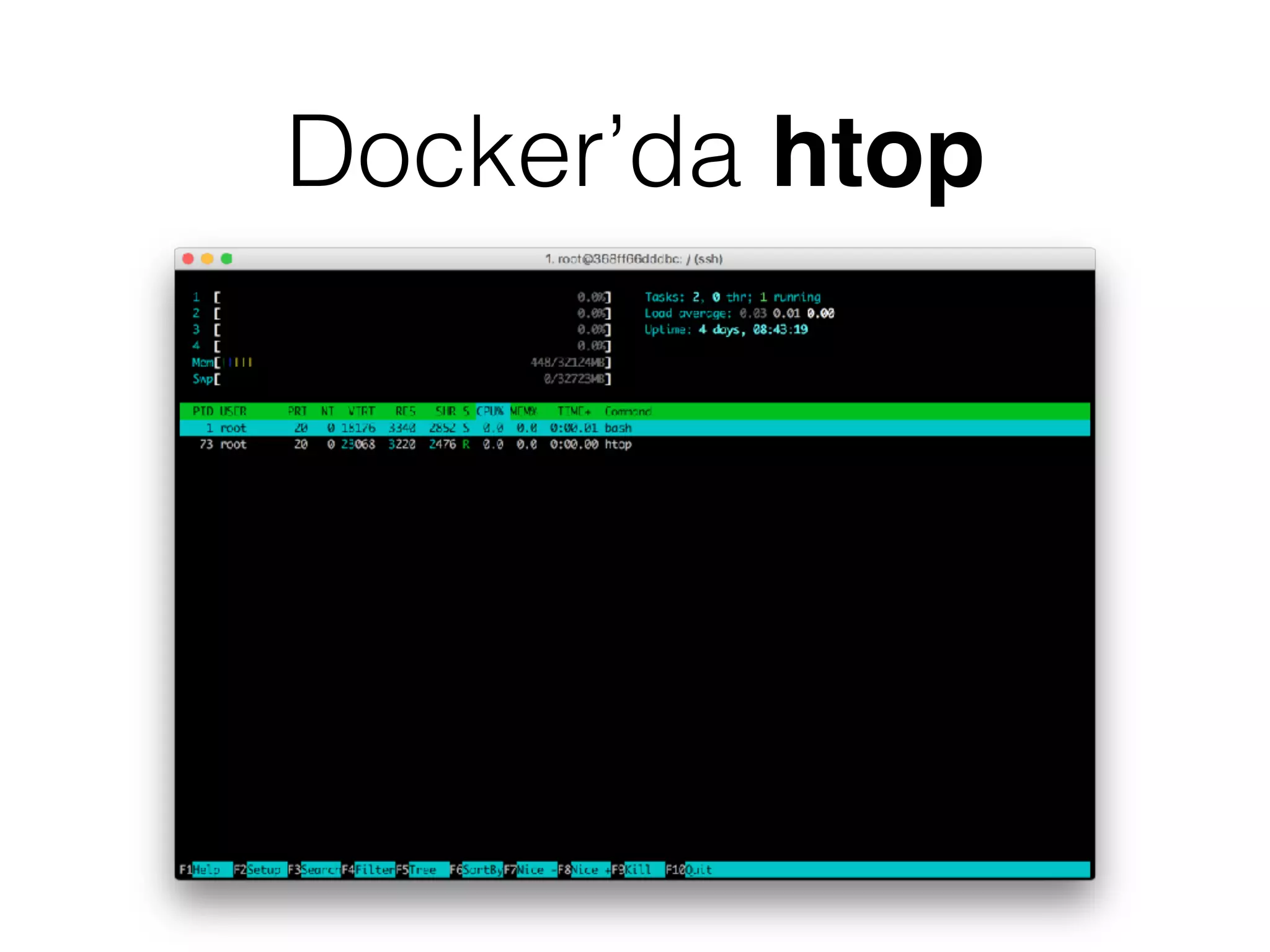 Docker’da htop
 