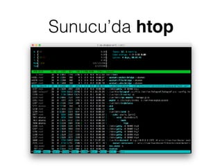 Sunucu’da htop
 