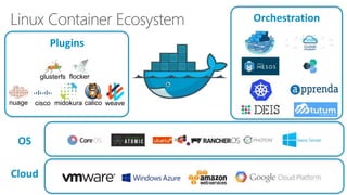Linux Container Ecosystem
flockerglusterfs
weavecalicomidokuracisconuage
Cloud
OS
Plugins
Orchestration
 
