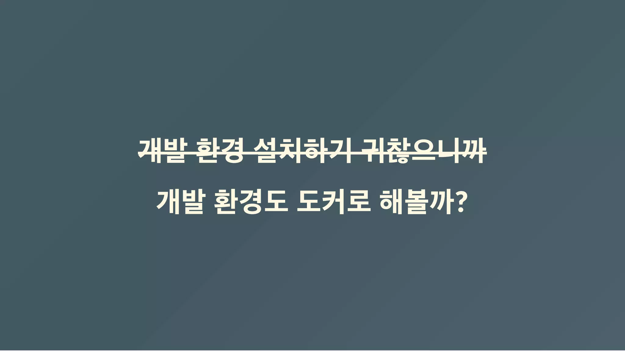 개발 환경 설치하기 귀찮으니까
개발 환경도 도커로 해볼까?
 