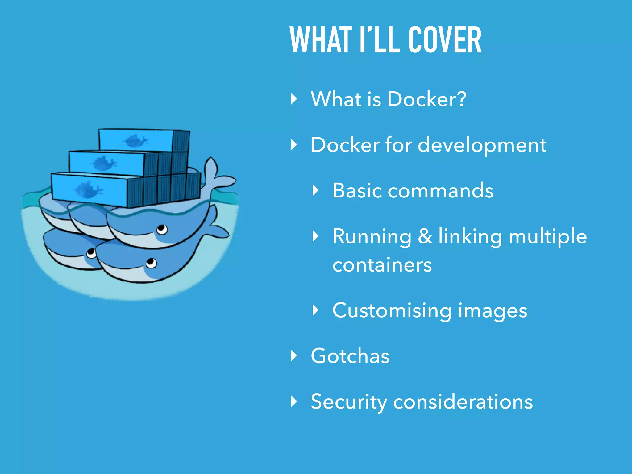 ‣ What is Docker?
‣ Docker for development
‣ Basic commands
‣ Running & linking multiple  
containers
‣ Customising images
‣ Gotchas
‣ Security considerations
WHAT I’LL COVER
 