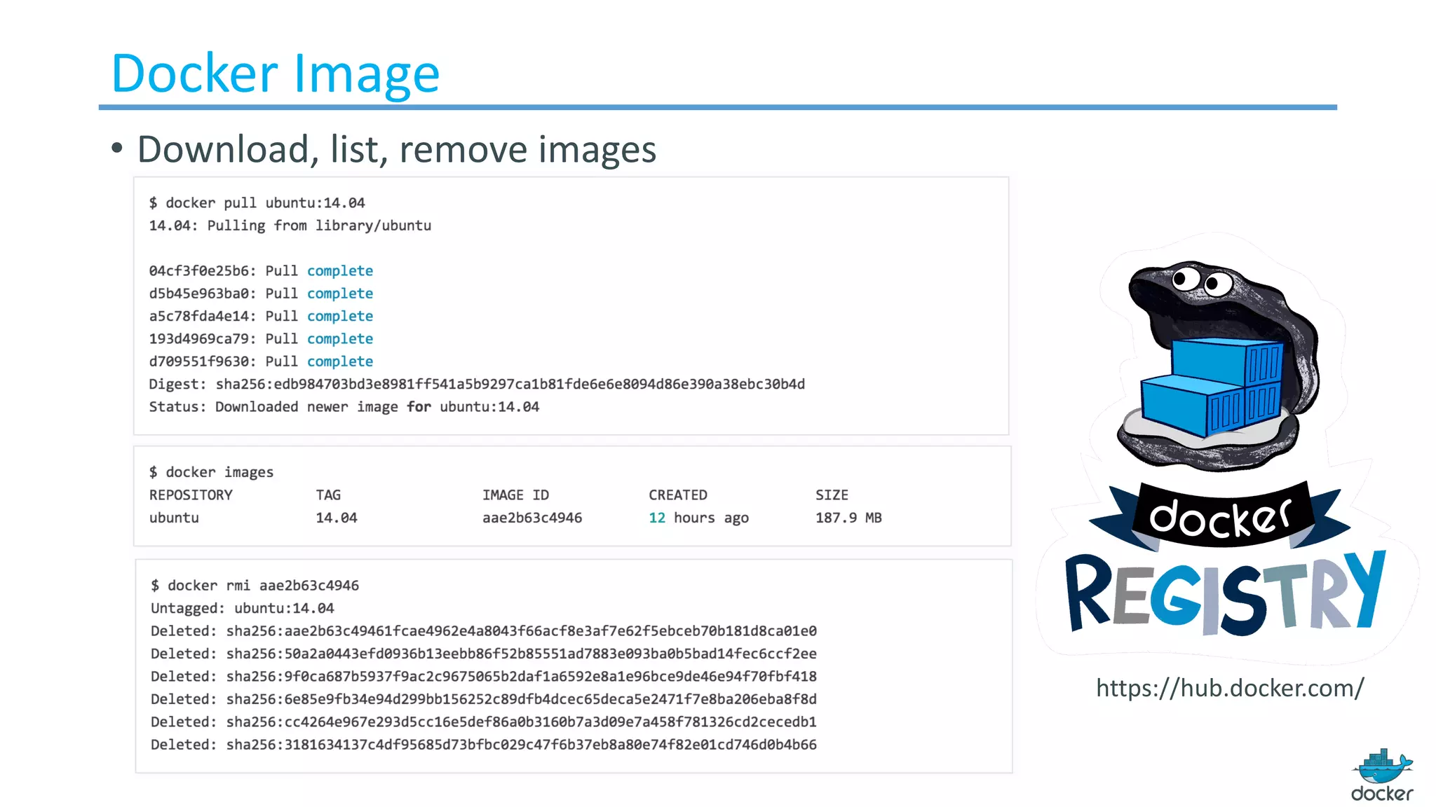 Docker	Image
• Download,	list,	remove	images
https://hub.docker.com/
 