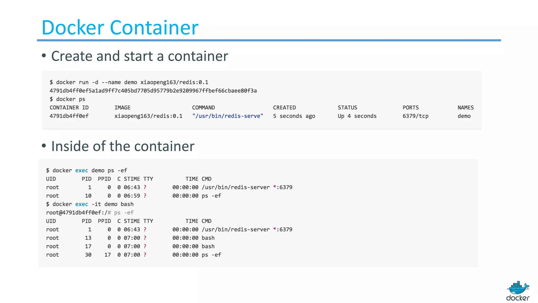 Docker	Container
• Create and start a container
• Inside of the container
 