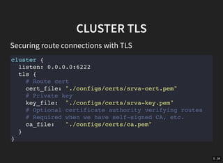 5 . 34
CLUSTER TLS
Securing route connections with TLS
cluster {
listen: 0.0.0.0:6222
tls {
# Route cert
cert_file: "./configs/certs/srva-cert.pem"
# Private key
key_file: "./configs/certs/srva-key.pem"
# Optional certificate authority verifying routes
# Required when we have self-signed CA, etc.
ca_file: "./configs/certs/ca.pem"
}
}
 