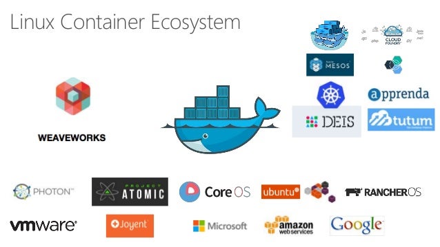 Docker Platform and Ecosystem