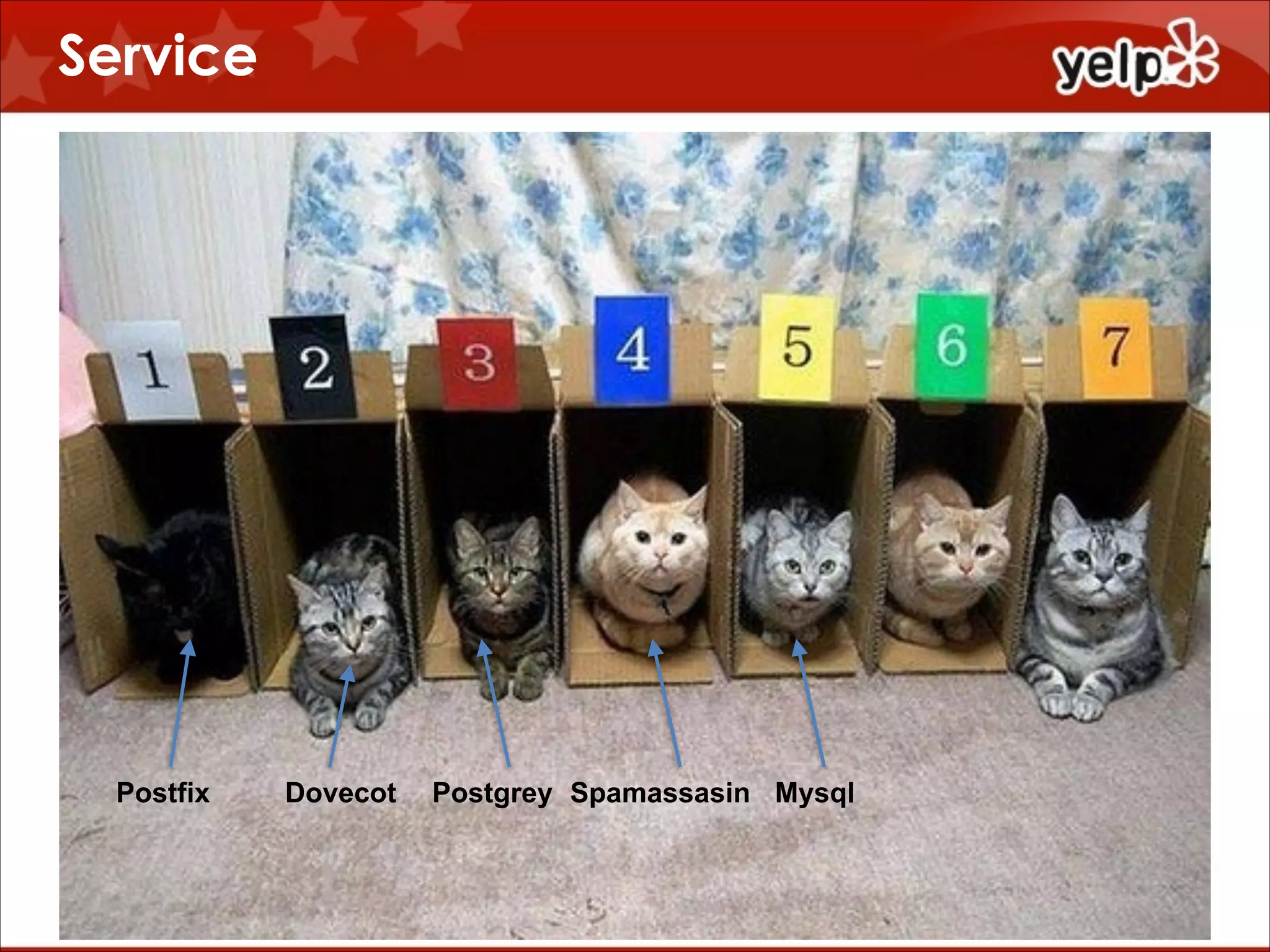 Service

$864

Postfix

Dovecot

Postgrey Spamassasin Mysql

 