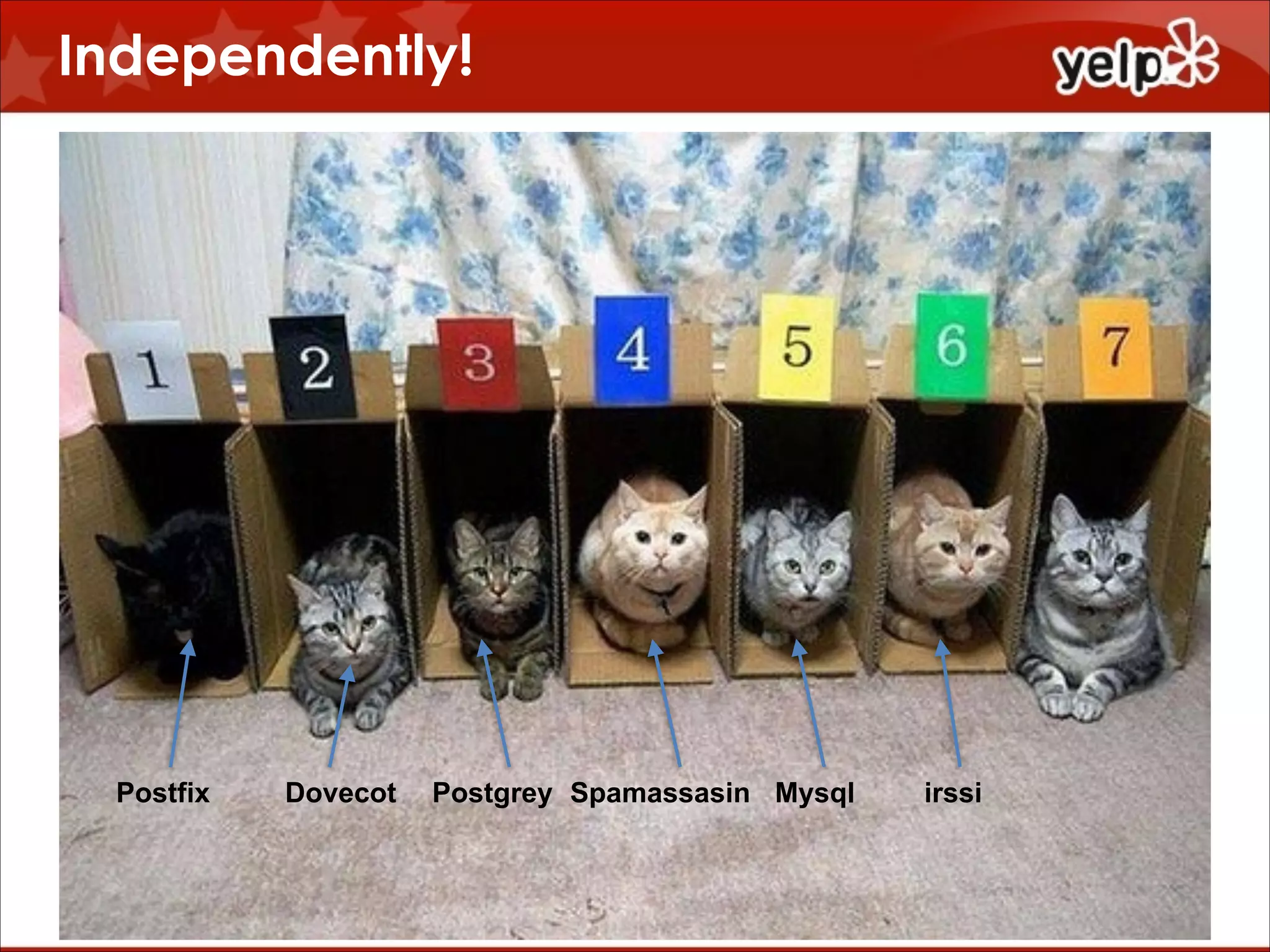 Independently!

$864

Postfix

Dovecot

Postgrey Spamassasin Mysql

irssi

 