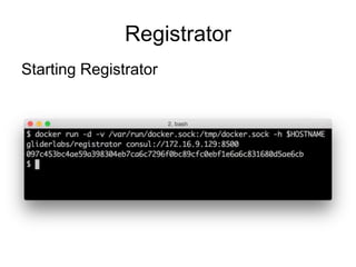Registrator
Starting Registrator
 