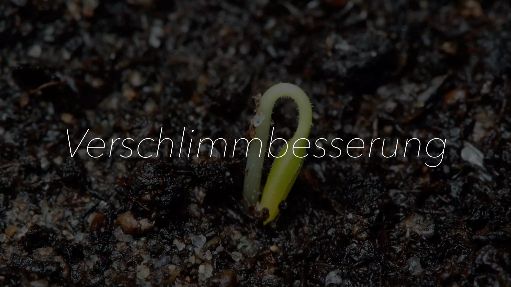 Verschlimmbesserung 
 