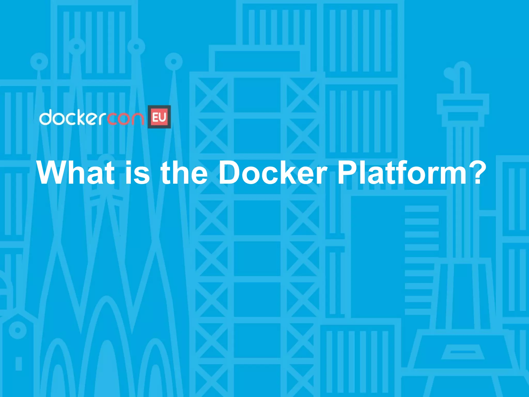 What is the Docker Platform?
 