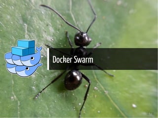 Docker Swarm
18 / 31
 