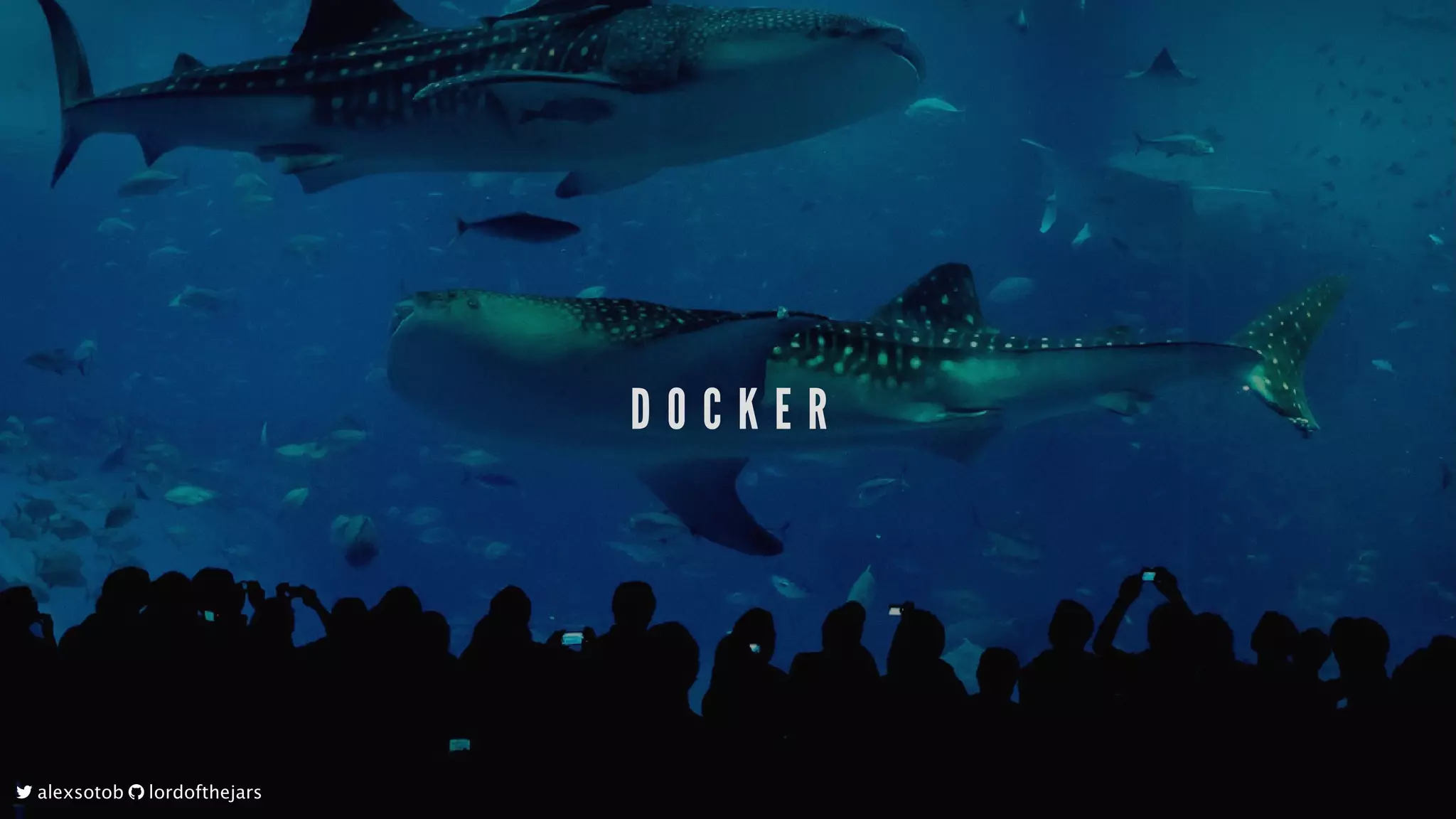D O C K E R
	alexsotob		lordofthejars
 