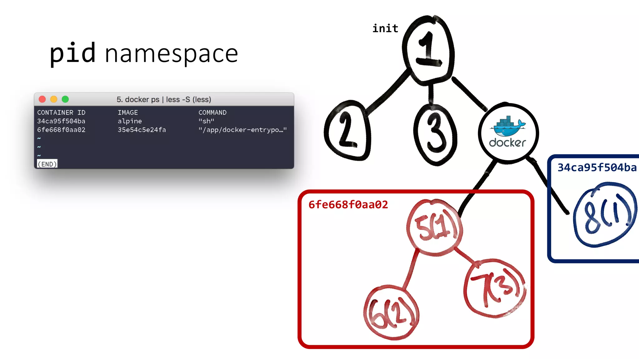 pid namespace
init
6fe668f0aa02
34ca95f504ba
 