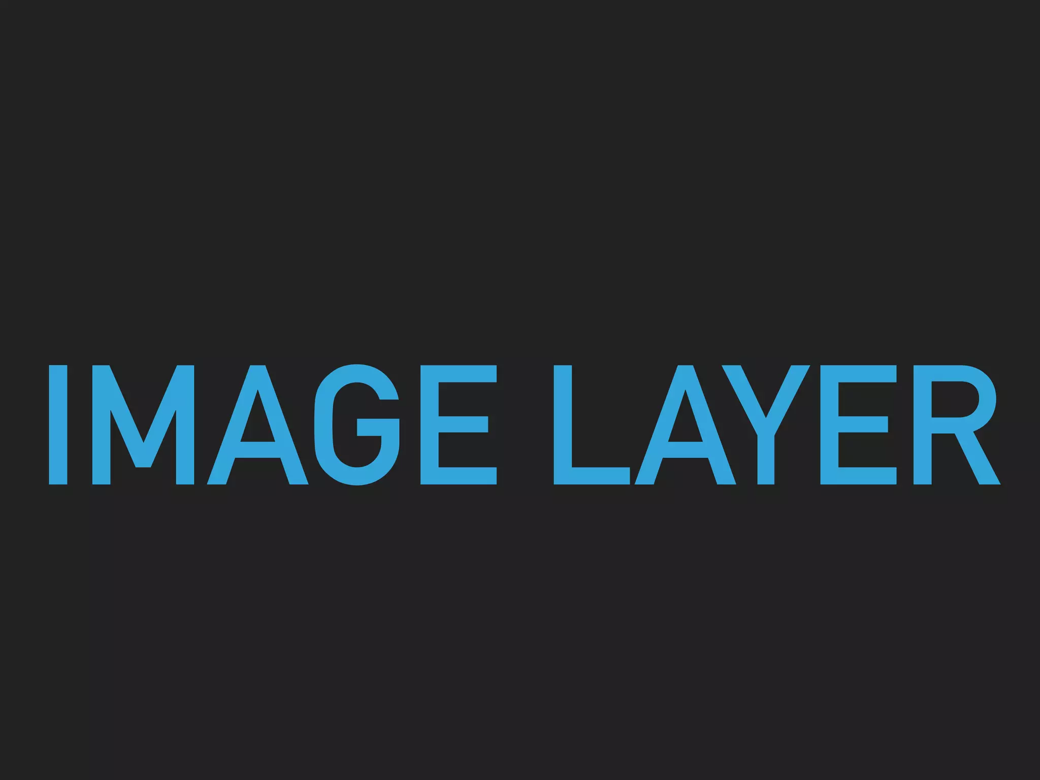 IMAGE LAYER
 