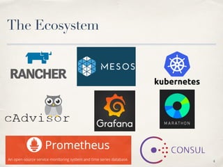 The Ecosystem
4
 