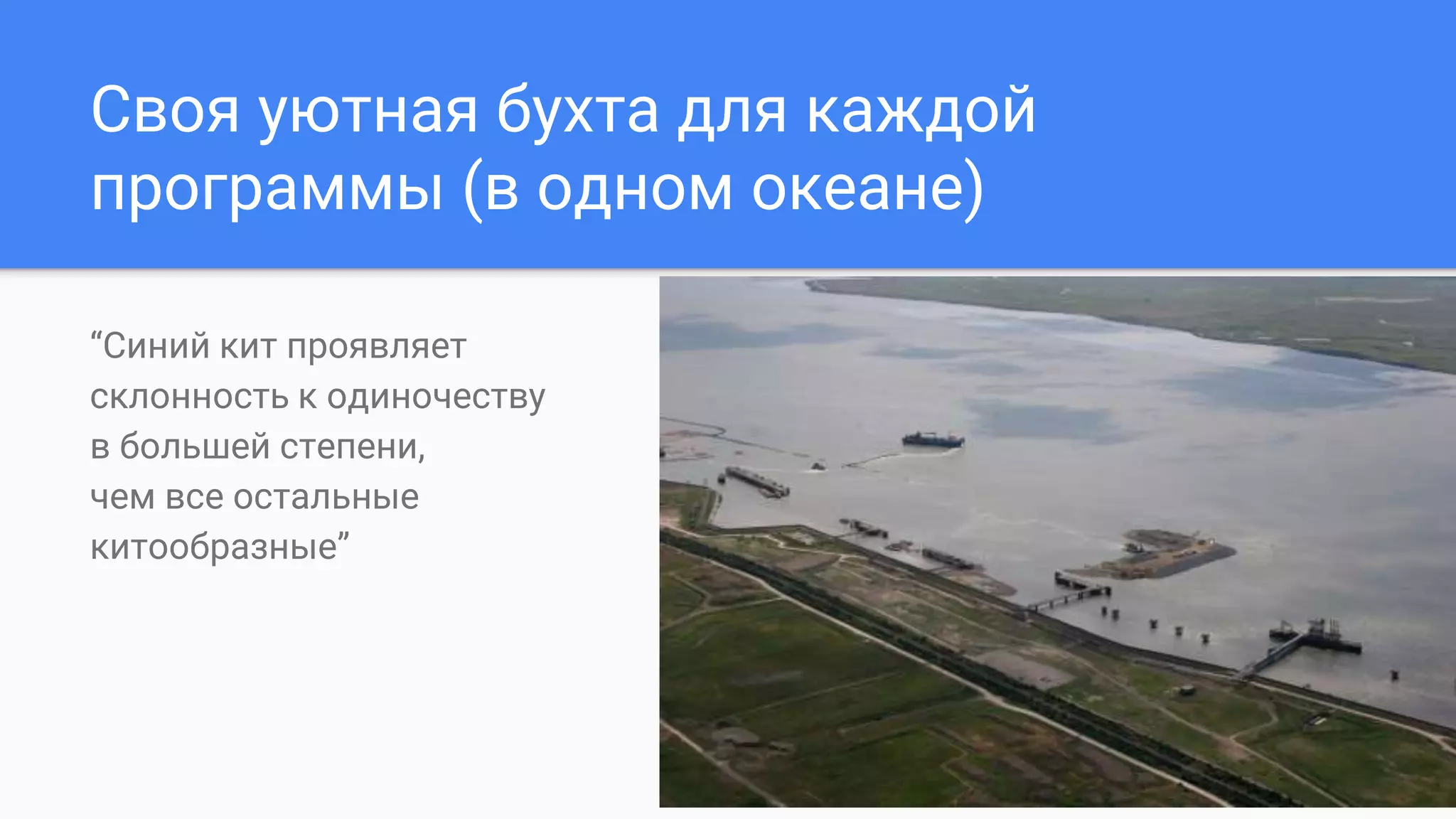 Своя уютная бухта для каждой
программы (в одном океане)
“Cиний кит проявляет
склонность к одиночеству
в большей степени,
чем все остальные
китообразные”
[Wikipedia]
 