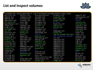 List and Inspect volumes
 